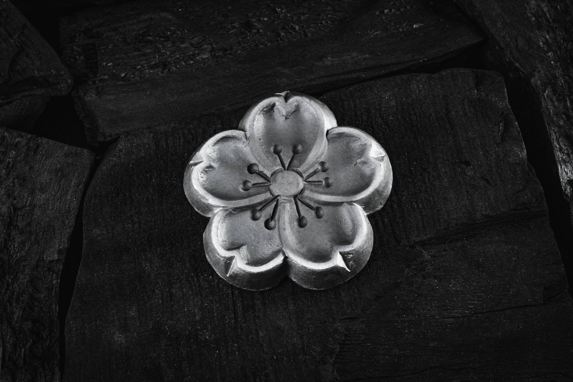 Cherry-Blossom-Aroma-plate-above