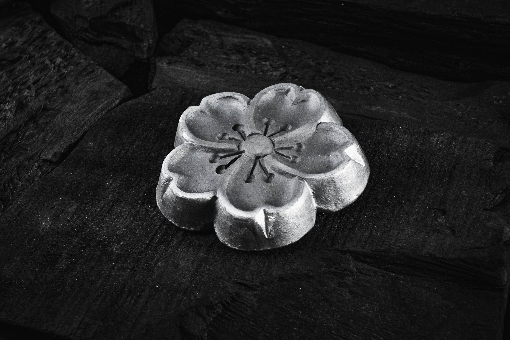 Cherry-Blossom-Aroma-plate-front