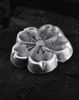 Cherry-Blossom-Aroma-plate-front