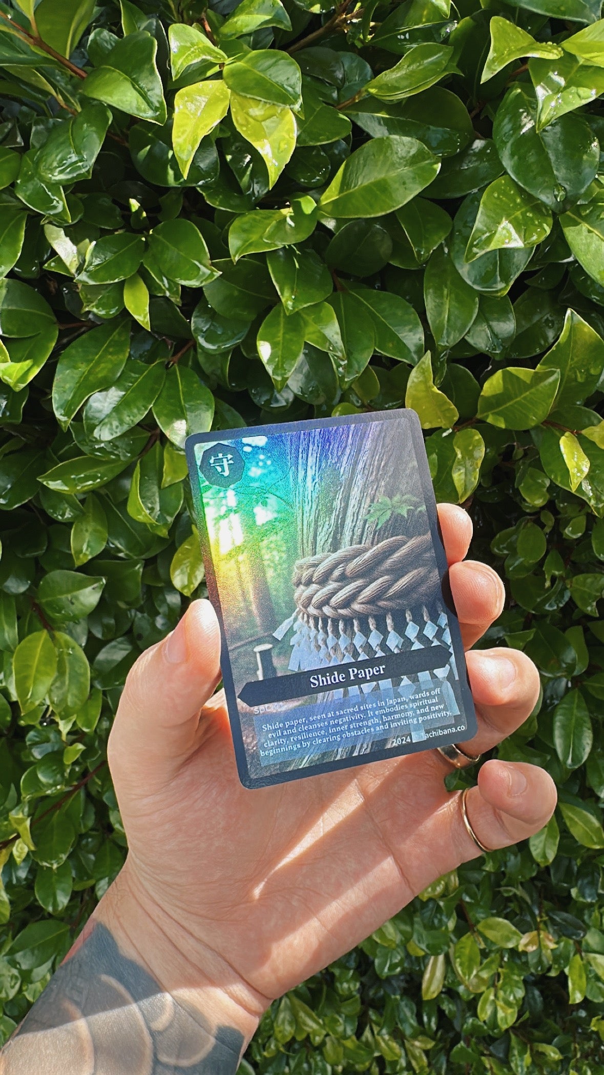 Shide-Cuff-Meaning-card