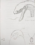 Snake Sketch