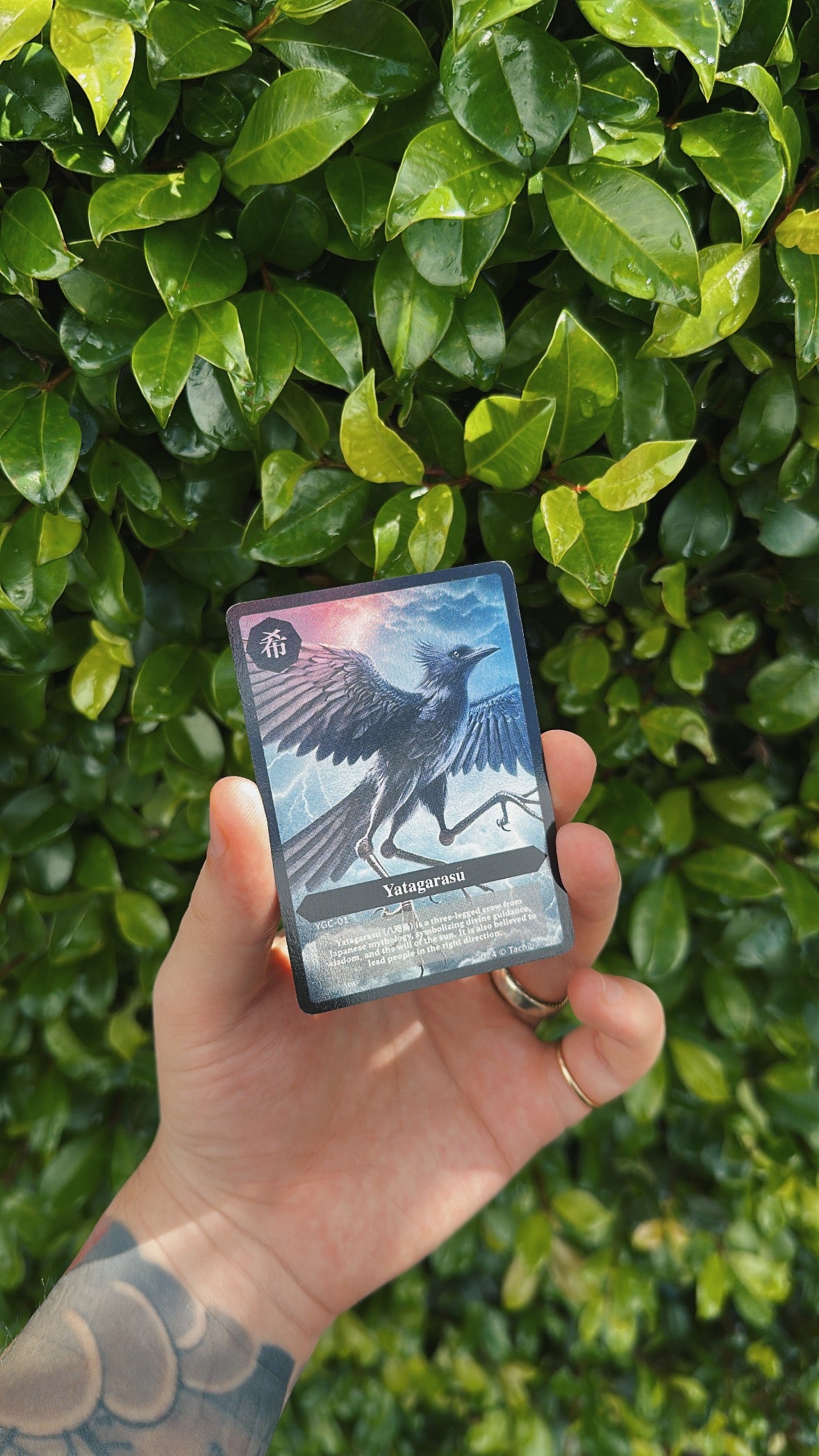 Yatagarasu-meaning-card
