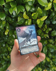Yatagarasu-meaning-card