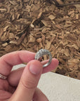 mt-fuji-ring-video