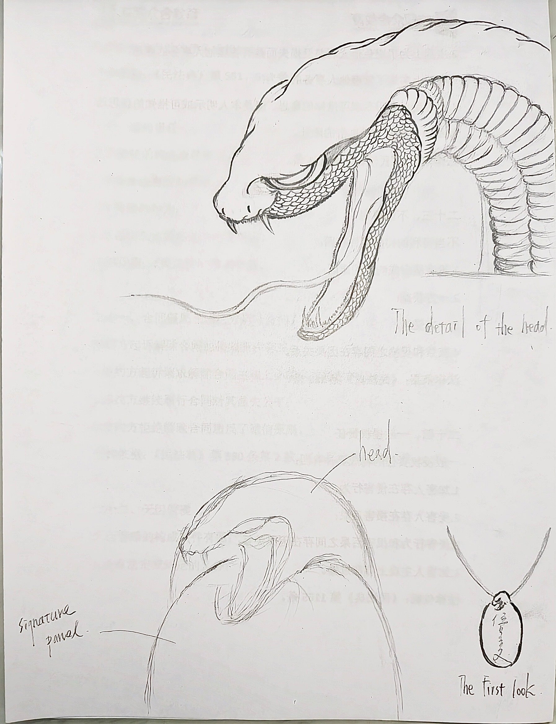 Snake Sketch