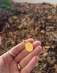 Dainichi-nyorai-gold-pendant-bonji-video